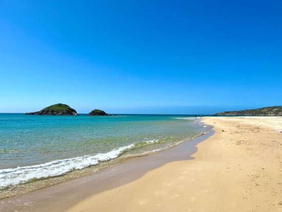 B1.e R maggio/giugno